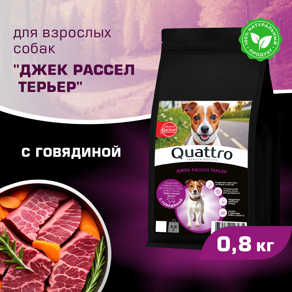 Корм сухой для взрослых собак породы Джек Рассел Терьер, с говядиной, 800 гр, QUATTRO