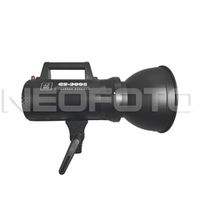Студийная вспышка Grifon GEMINI GS-300II
