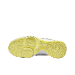 Мужские кроссовки Nike LeBron Witness 5 EP 'Summit White Metallic Bronze' CQ9381‑102