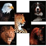 Тетрадь 48л. А5 клетка Brauberg «ЖИВОТНЫЕ» обложка картон ассорти (10/100)