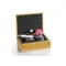 Thorens Cleaning Set in Wooden Box