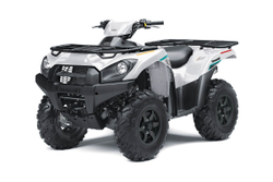 Квадроцикл KAWASAKI Brute Force 750 4x4i EPS (2023) (ПСМ)