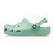 Crocs Classic clog 'Green'