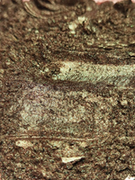 Премиум 8559 Медная бронза с зелёным - перламутровый сухой краситель