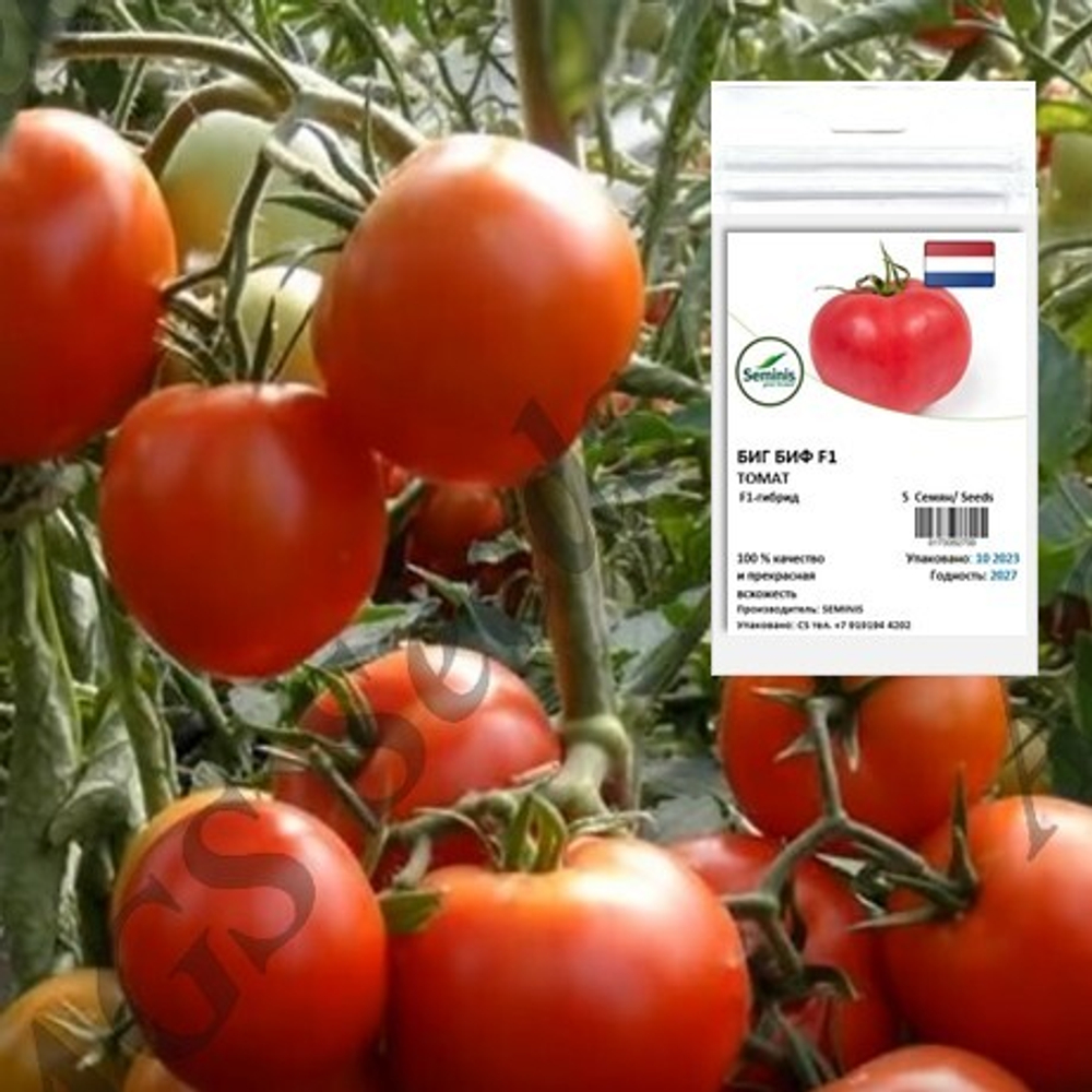 Биг Биф F1 томат Seminis профессиональные семена