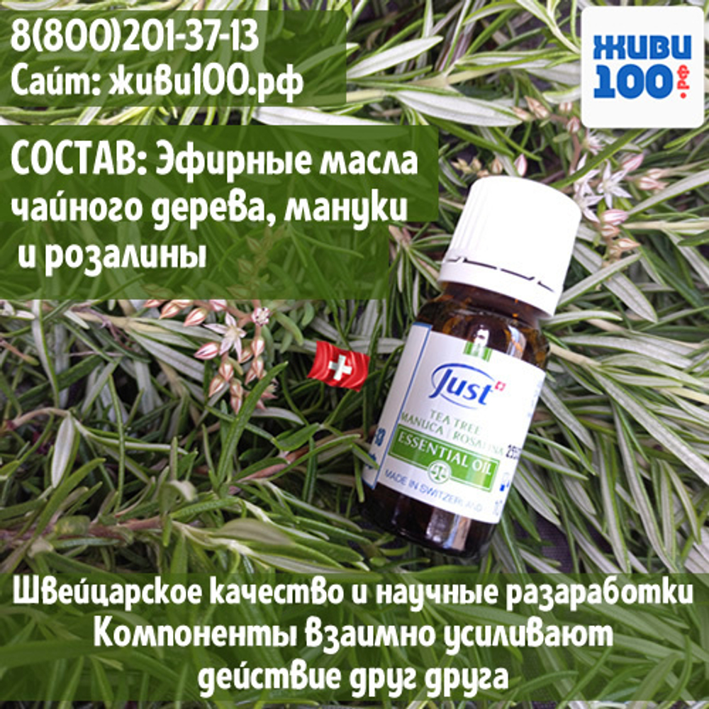 Масло Tea tree Just Чайного дерева Юст | Купить с бесплатной доставкой