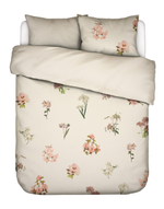 ESSENZA Комплект постельного белья Annebella