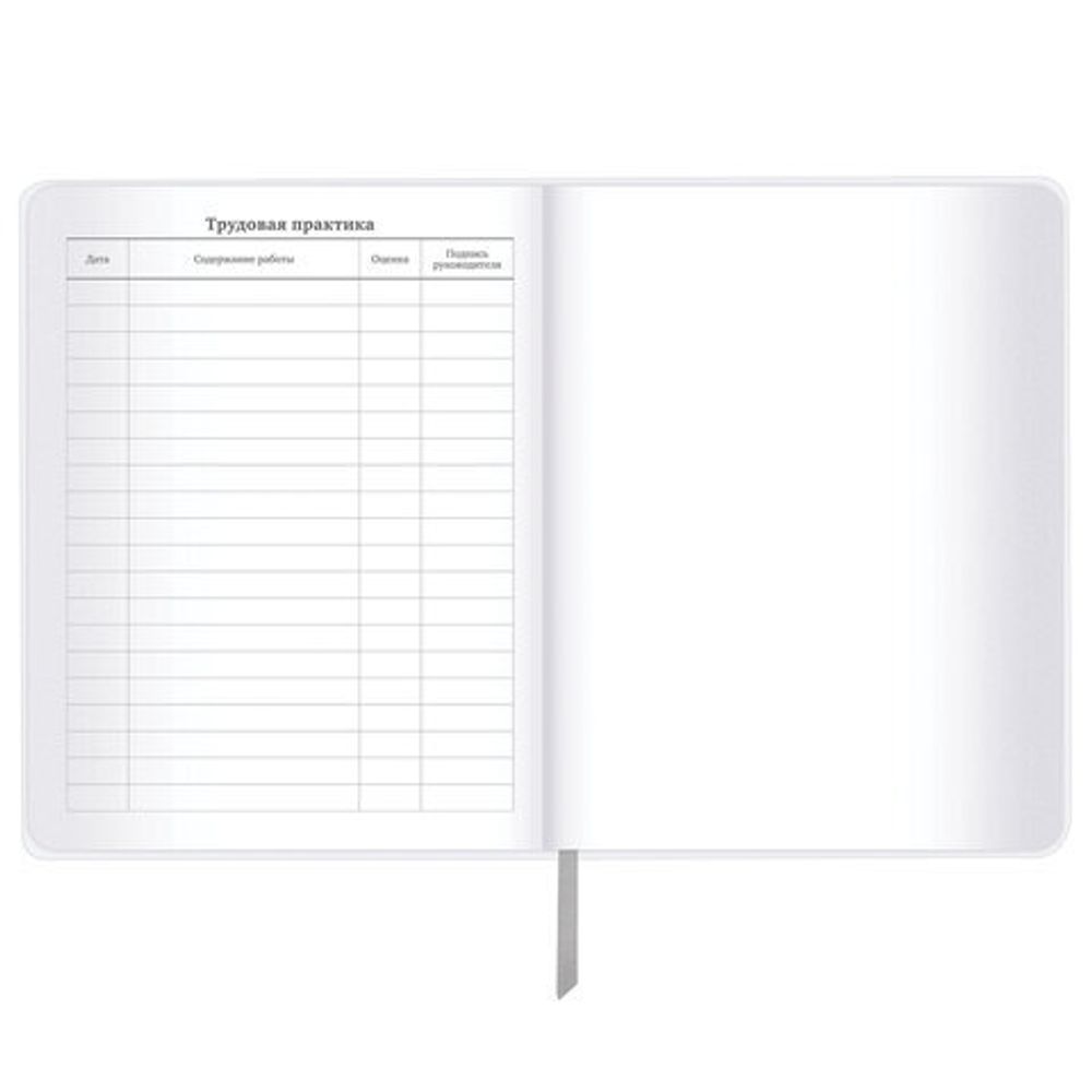 Дневник 1-11 класс 48 л., кожзам (гибкая), печать, фольга, BRAUBERG, "Аниме", 106917