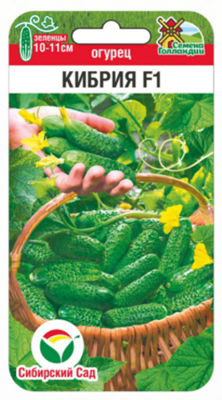 Огурец Кибрия СибСад