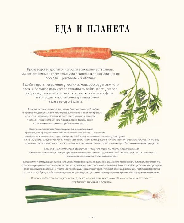 Такая красивая еда