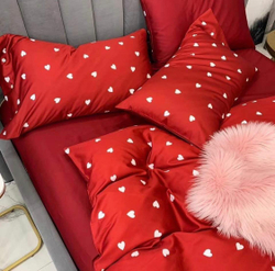 Комплект постельного белья ZEPHYR HOME ЕВРО пг. Мако-Сатин,Египетский хлопок Красный