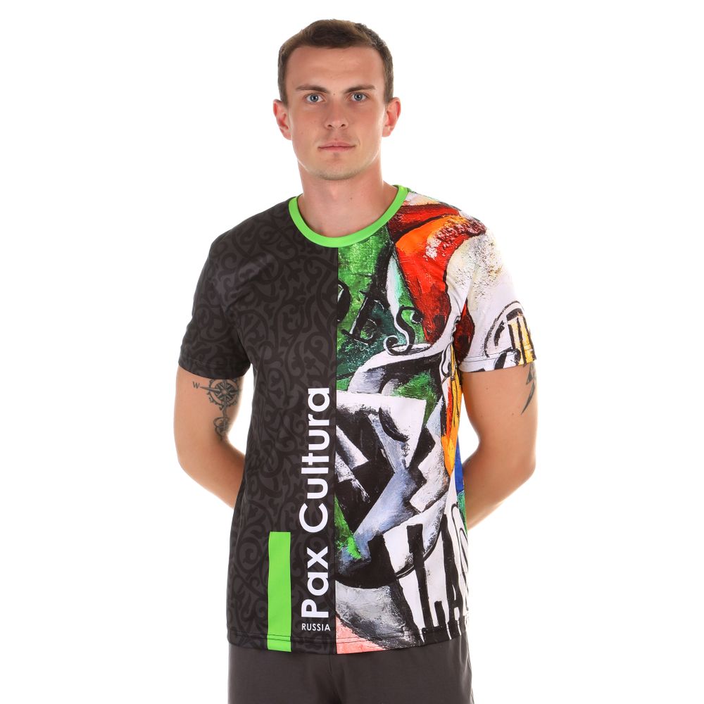 Мужская футболка темно-серая с разноцветным принтом Sesmik by Vlad Sedov VS002/VS0053