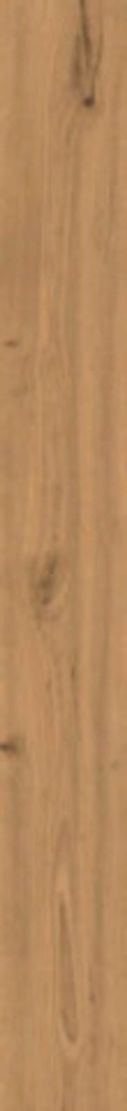 Керамогранит Log Amber Oak (AX5X)