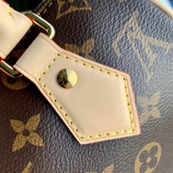 Louis Vuitton Speedy 20