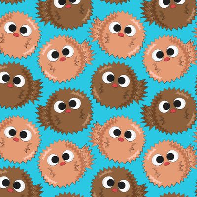 Морские ежики