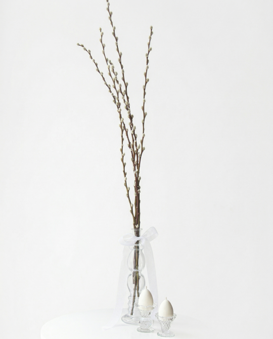 Веточки вербы