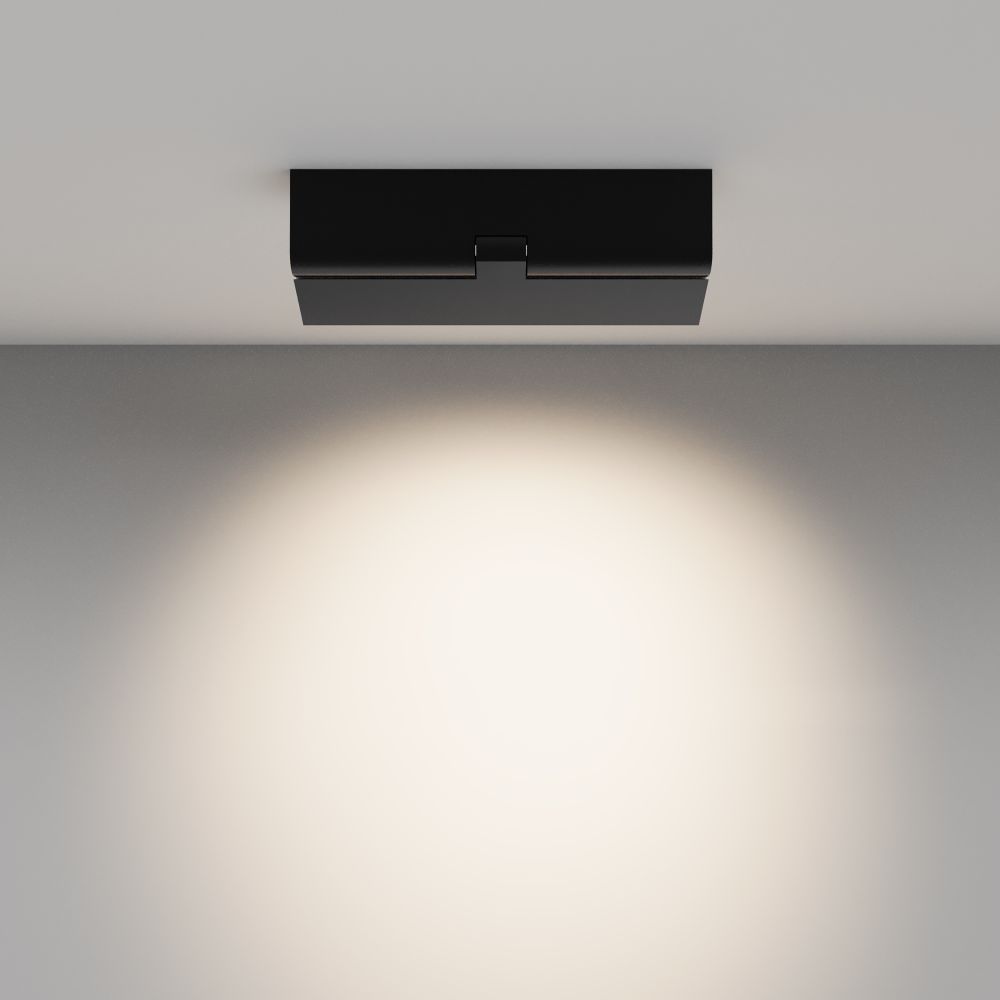 Потолочный светильник светодиодный Maytoni   C136CL-12W4K-B