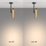 Потолочный светильник Technical C020CL-01GB