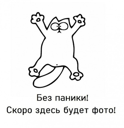 Дверь-купе NAIDY С -crimp, зеркало, профиль вишня