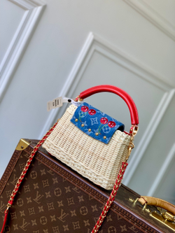 Louis Vuitton Capucines Mini