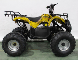 Квадроцикл GreenCamel Атакама T220 (48V 1000W R8 Дифференциал) пониженная