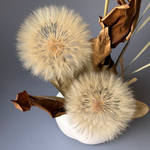 «Волшебные одуванчики» - композиция из стабилизированных цветов и сухоцветов