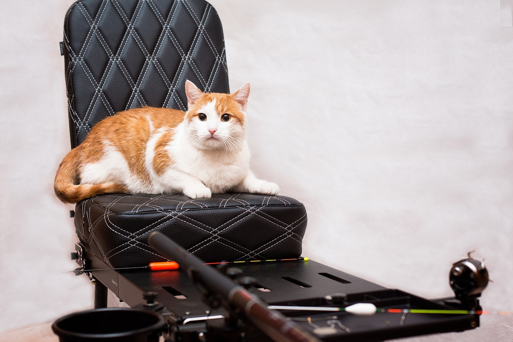 Красная энергия