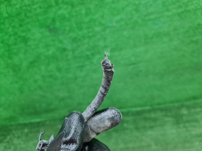 Проводка заднего бампера Genesis GV70 (2020-н.в.)