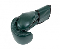 Перчатки боксерские Clinch Undefeated темно-зеленые C161