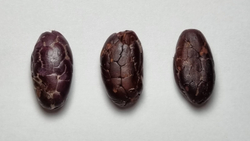 Эсмиральдас