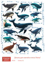 Трансфер переводной - декаль для свечей и гипса киты 005 А5