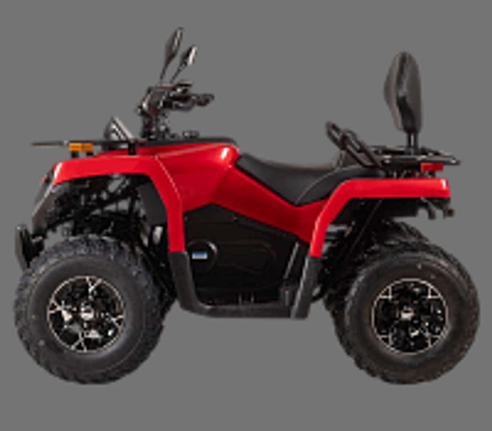 Квадроцикл Bizon YK250 BASIC CARB