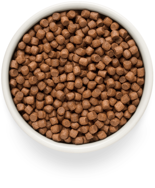 Grandorf Fresh Dog Potato корм сухой беззерновой для собак мелких пород лосось,батат