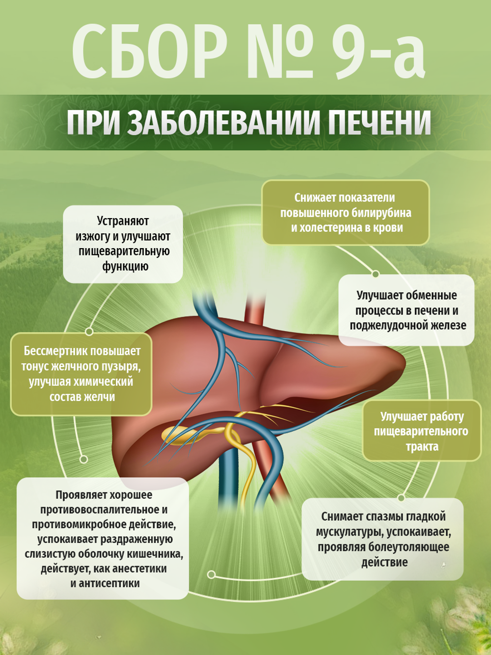Сбор при заболевании печени № 9-а