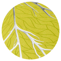 e550f75a_b7b6_11ef_ba9b_d05099d5d12d_fe5c1d97_8a6a_11f0_bab7_d05099d5d12d