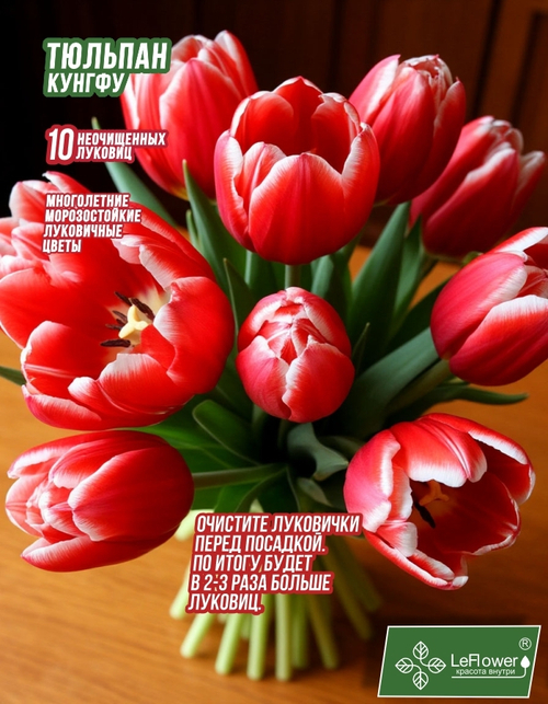 Тюльпан Луковица, Кунг Фу, 10шт