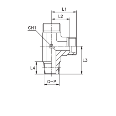 Штуцер FLC DS20 NPT 3/4 (корпус)