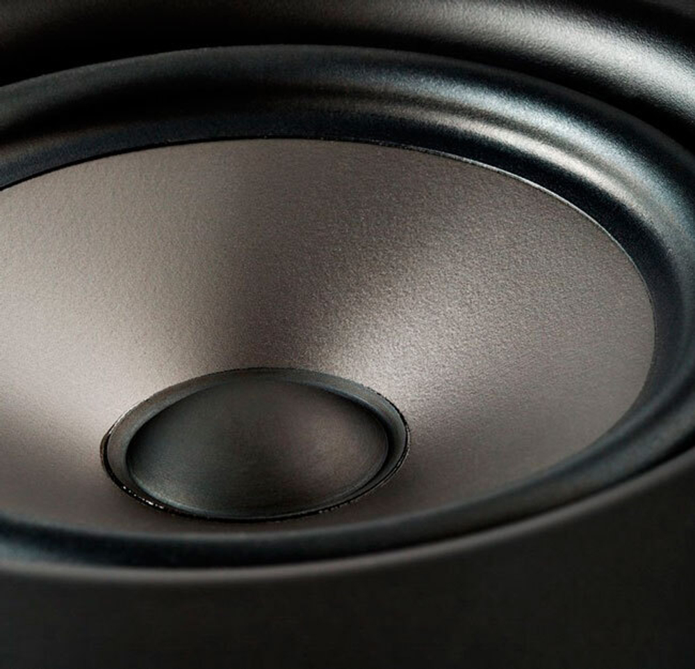 Polk Audio V65
