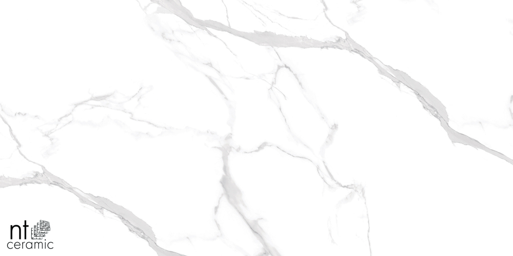 Керамогранит Statuario Ultra White NTT99512M 600*1200 полированный