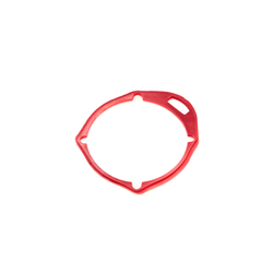 Прокладка задней крышки ( End seal ) RT-5275 поз.21