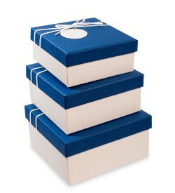 WF-31-A Набор коробок из 3шт «Прямоугольник» цв.бел./син.