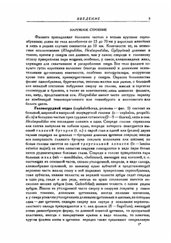 Фауна СССР. Паукообразные. Том I. Выпуск 3. Фаланги (Solifuga). | Бялыницкий-Бируля А.А.