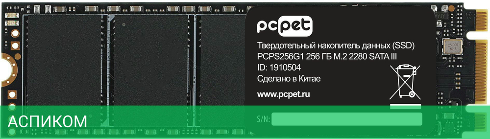 SSD диск PC Pet 256GB PCPS256G1