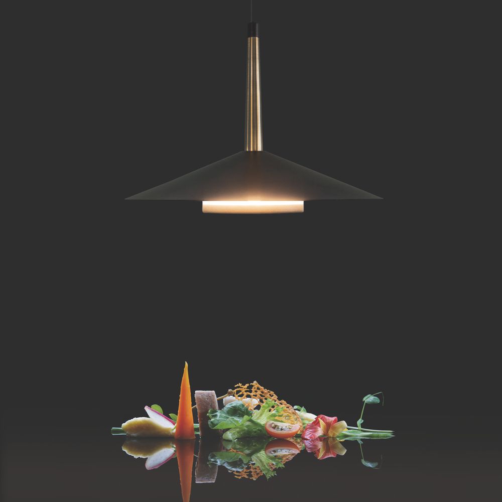 7305 Подвесной светильник ORION