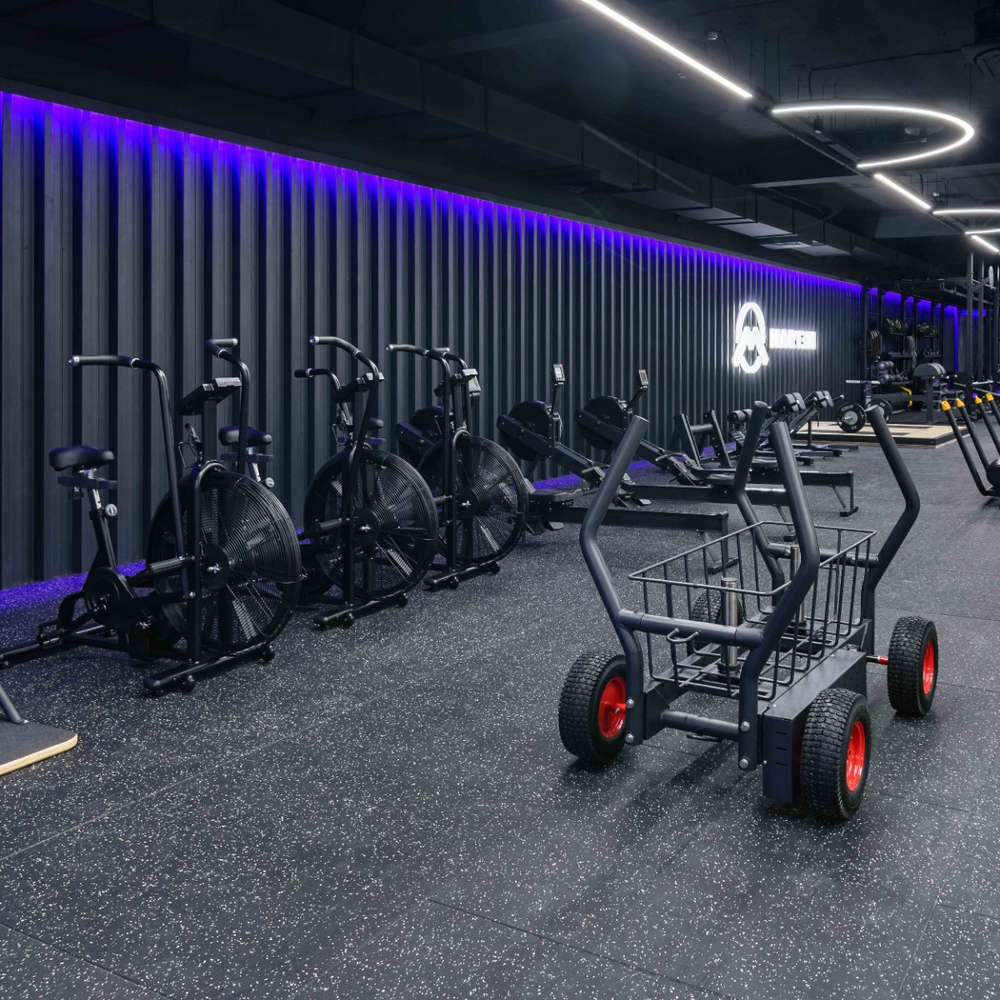 Велотренажер Airbike TANGEN X-8860