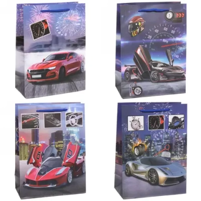 Пакет подарочный «Гонка» 18*24*8,5 см