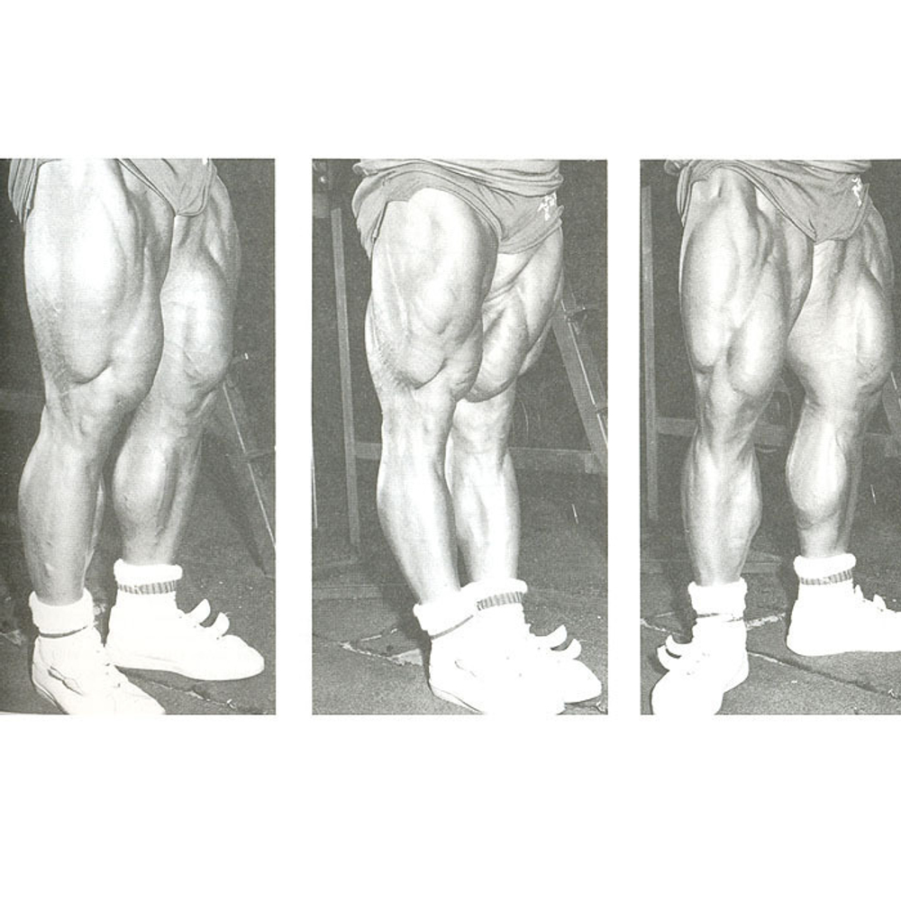 Новая энциклопедия бодибилдинга