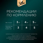 Ломтики в желе форель, 75г влажный корм для кошек Sheba