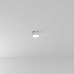 Потолочный светильник Arte Lamp