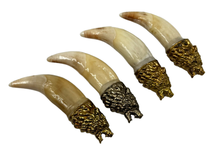 Оберег клык медведя